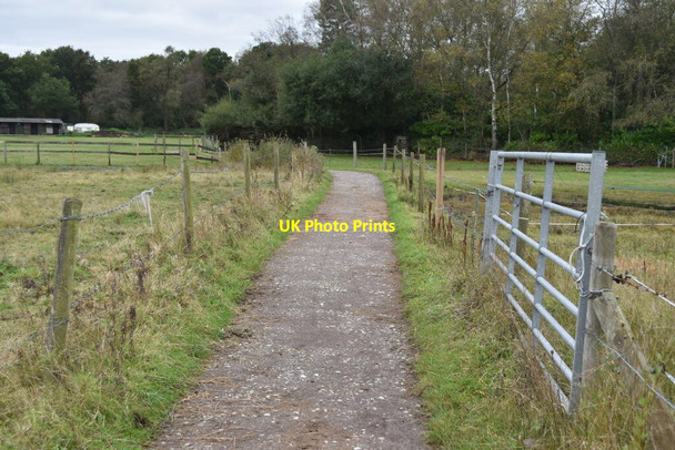 Photo 6"x4" Bridleway near Three Legged Cross Woolsbridge c2021