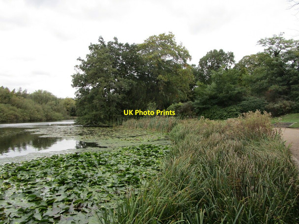 Photo 6"x4" The Garden Lake, Newstead Abbey Ravenshead c2021