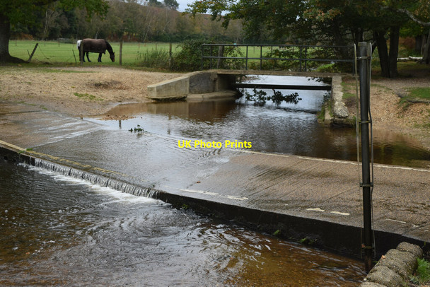 Photo 6"x4" Ford near Moyles Court Mockbeggar\/SU1609 c2021