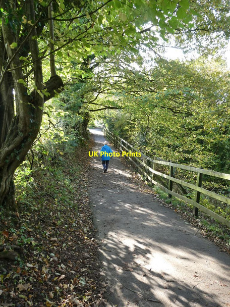 Photo 6"x4" Path from Cross Hill Quarry to Brungerley Park Clitheroe\/SD7441 c2021