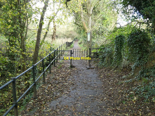 Photo 6"x4" Path past Cross Hill Quarry Clitheroe\/SD7441 c2021