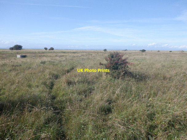 Photo 6"x4" Yellow Mires Aberlady c2021