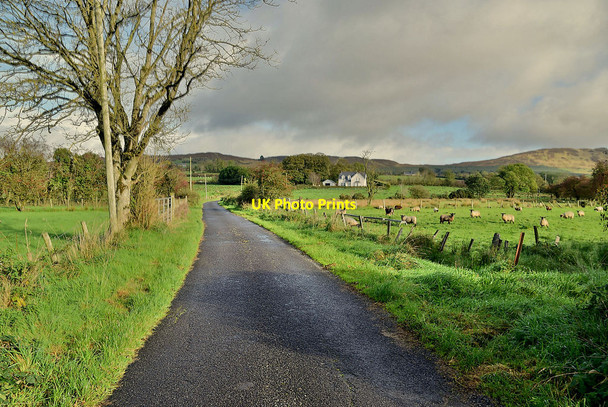 Photo 6"x4" Farburn Road, Lisnaharney Gortin c2021