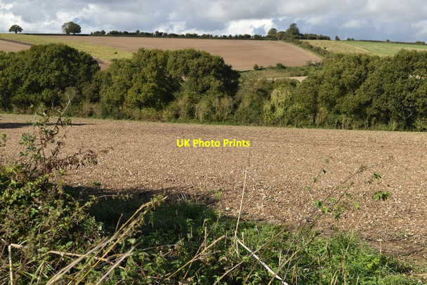 Photo 6"x4" Farmland north of Ox Drove Morestead c2021