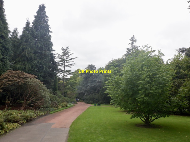 Photo 6"x4" Royal Botanic Gardens Inverleith c2021