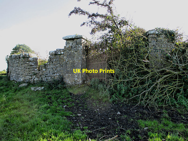 Photo 6"x4" Overgrown Entrance Ballyfoyle c2021