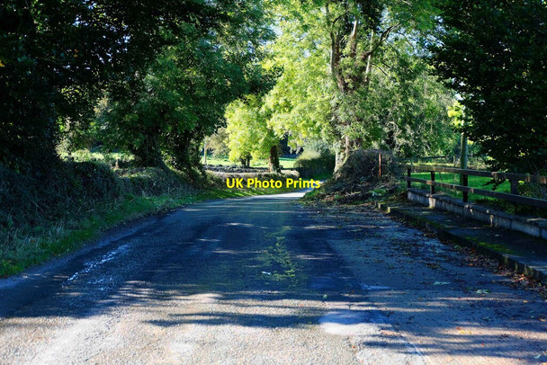 Photo 6"x4" L4202 road heading for Stoneyford, Co. Kilkenny Stoneyford\/S5243 c2021