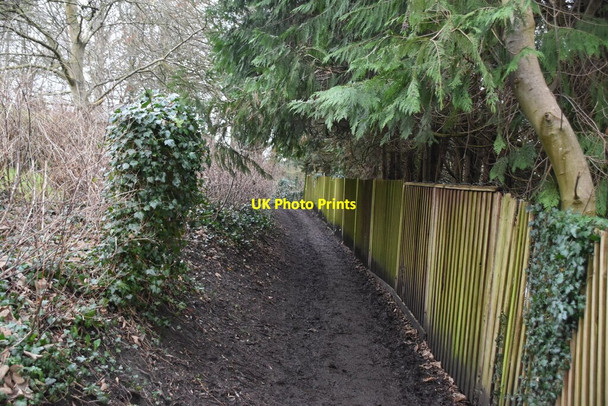 Photo 6"x4" Darent Valley Path Timberden Bottom c2020