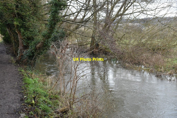 Photo 6"x4" River Darent Timberden Bottom c2020 P1