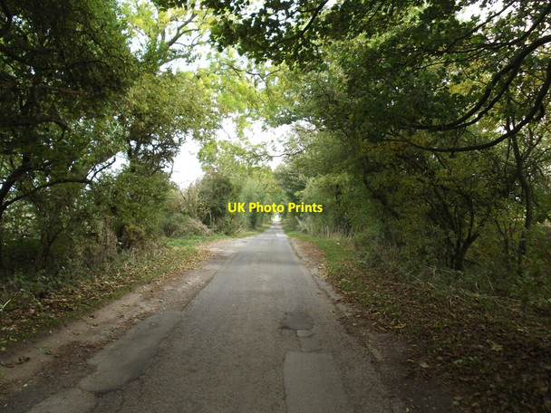 Photo 6"x4" Woldgate Roman Road West Hill\/TA1666 c2021