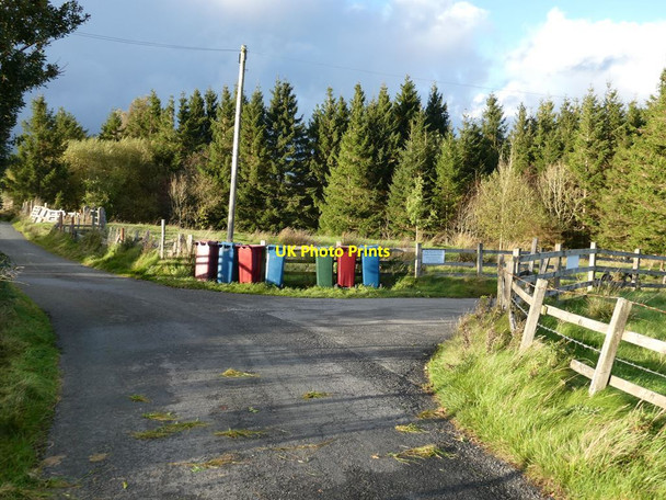 Photo 6"x4" Bin day Forest Becks c2021
