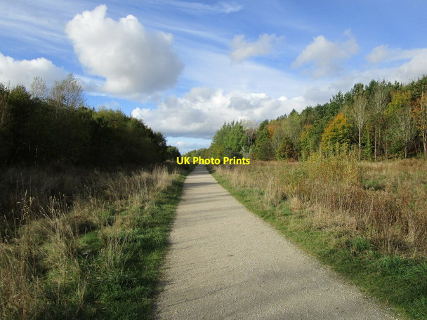 Photo 6"x4" Track in Silverhill Wood Country Park Dunsill c2021
