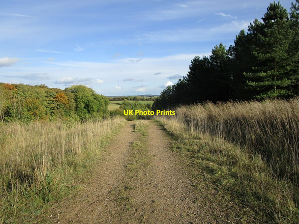 Photo 6"x4" Track in Silverhill Wood Country Park Fackley c2021