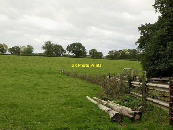 Photo 6"x4" Fields, Whitton Wooton\/SO5773 c2021
