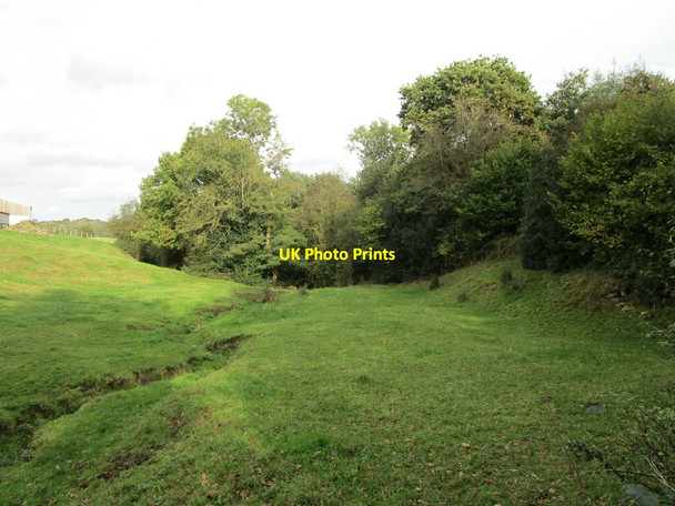 Photo 6"x4" Grassland and tributary of the River Doe Lea at Stanley Dunsill c2021