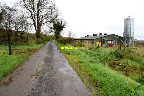Photo 6"x4" Wet along Killens Road Mountfield\/H5378 c2021