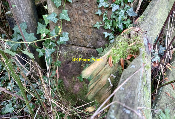 Photo 6"x4" North Hillswood Farm Meerbrook c2021