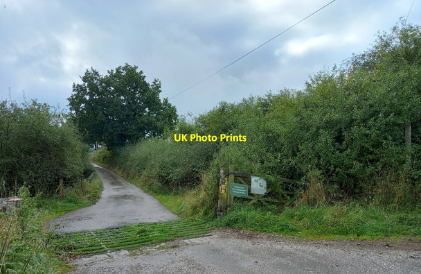 Photo 6"x4" North Hillswood Farm Meerbrook c2021 P1