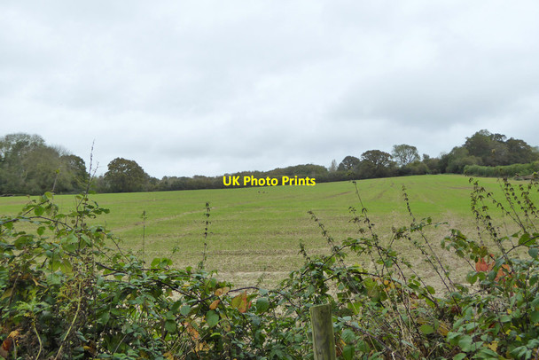 Photo 6"x4" Field near Townhouse Farm Ardingly c2021