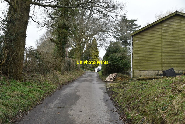 Photo 6"x4" Old Tottingworth Farm track Broad Oak\/TQ6022 c2021