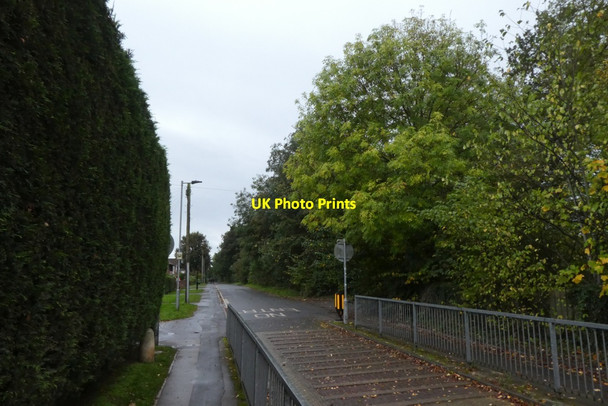 Photo 6"x4" Windmill Lane Heslington c2021