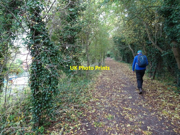 Photo 6"x4" Railway Path Wolverhampton c2021