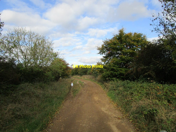 Photo 6"x4" The Drift near Buckminster Buckminster c2021