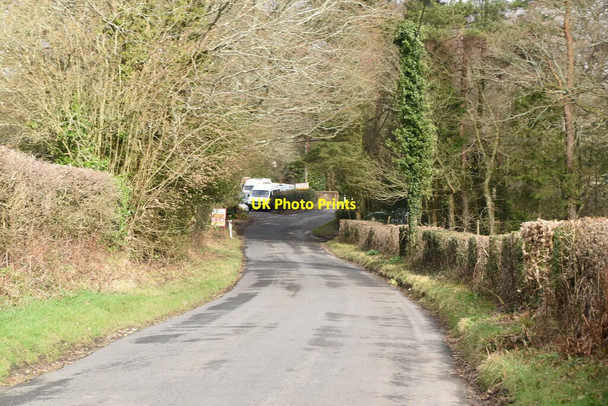 Photo 6"x4" Street End Lane Heathfield\/TQ5821 c2021