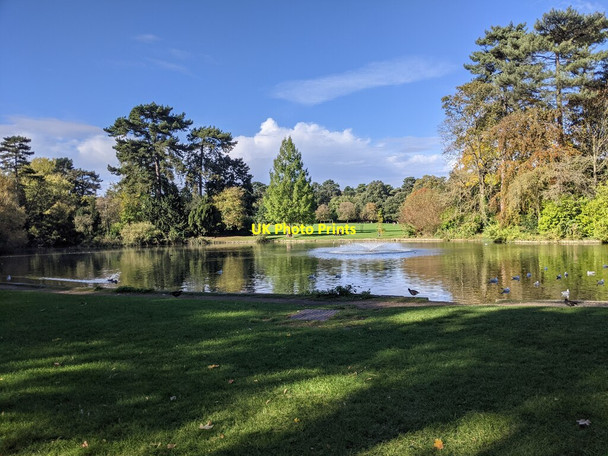 Photo 6"x4" Lake in Bedford Park Bedford\/TL0549 c2021