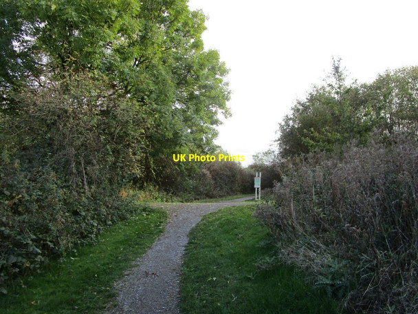 Photo 6"x4" Crossing of paths, Brierley Forest Park Sutton In Ashfield c2021