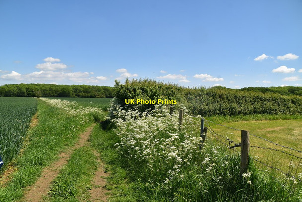Photo 6"x4" Icknield Way Trail Broad Green\/TL4439 c2021