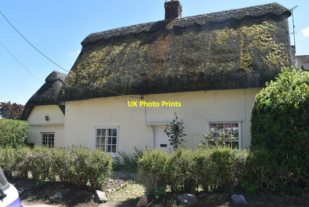 Photo 6"x4" Thatched Cottage Elmdon\/TL4639 c2021