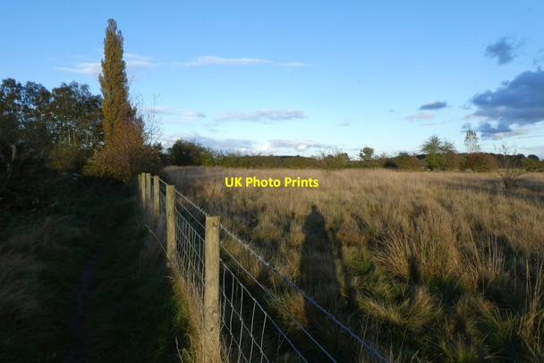 Photo 6"x4" Edge of the Tillmire Crockey Hill c2021