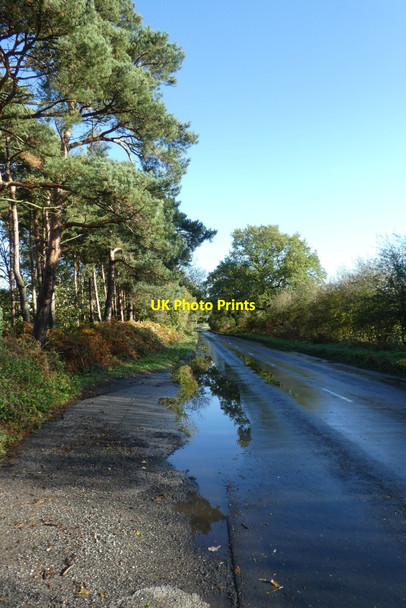 Photo 6"x4" Layby on Towthorpe Moor Lane Earswick c2021