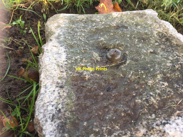 Photo 6"x4" Fundamental Benchmark Longhorsley c2021