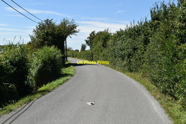 Photo 6"x4" Lane across Romney Marsh Newchurch\/TR0531 c2020