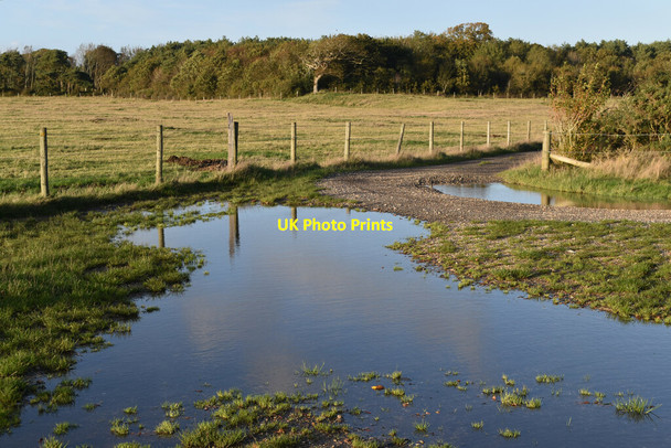 Photo 6"x4" Flooded track junction south of Fawley village Fawley\/SU4503 c2021