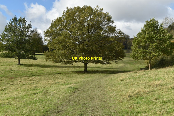 Photo 6"x4" Path in Dinton Park Dinton\/SU0131 c2021