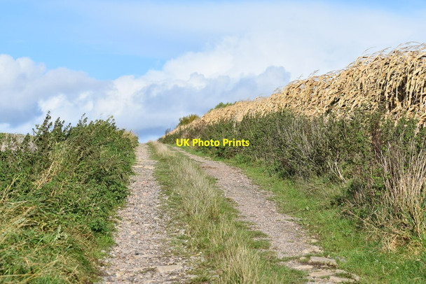 Photo 6"x4" Bridleway on farm track north of Teffont Magna Teffont Magna c2021