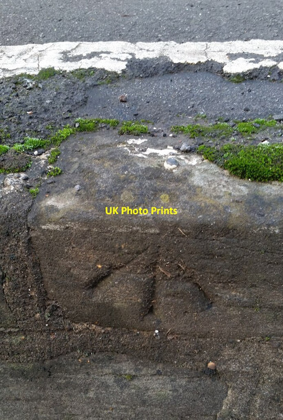 Photo 6"x4" Ordnance Survey Rivet Easton-in-Gordano c2021