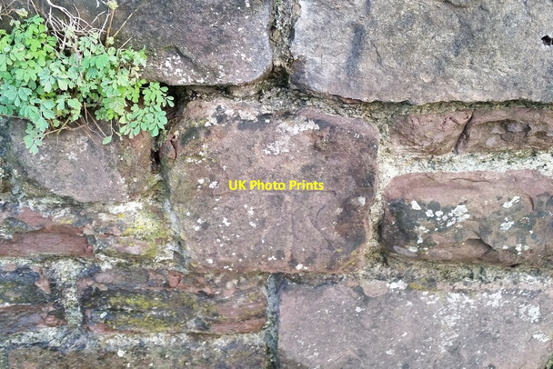 Photo 6"x4" Ordnance Survey Cut Mark Easton-in-Gordano c2021 P1