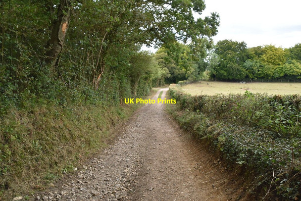 Photo 6"x4" Restricted byway (Hassell Street) Hassell Street c2020
