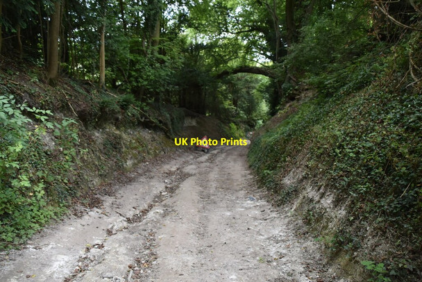 Photo 6"x4" Sunken byway (Hassell Street) Hassell Street c2020