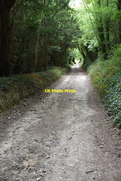 Photo 6"x4" Restricted byway (Hassell Street) Hassell Street c2020