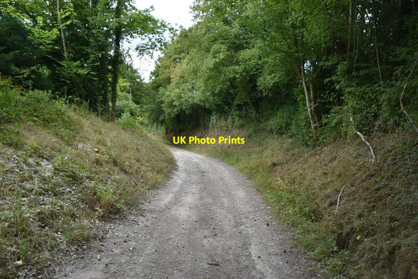 Photo 6"x4" Restricted byway (Hassell Street) Hassell Street c2020