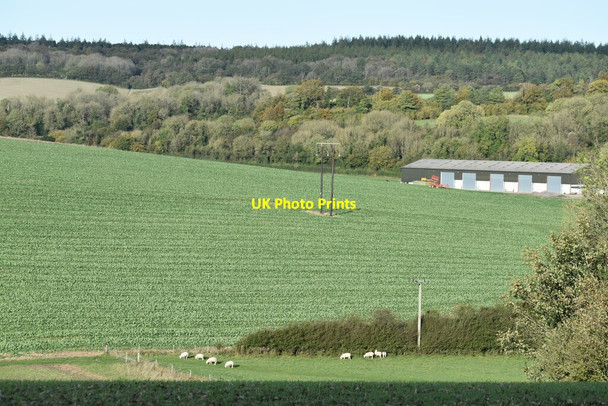 Photo 6"x4" Fields and woodland north of Baverstock Baverstock c2021