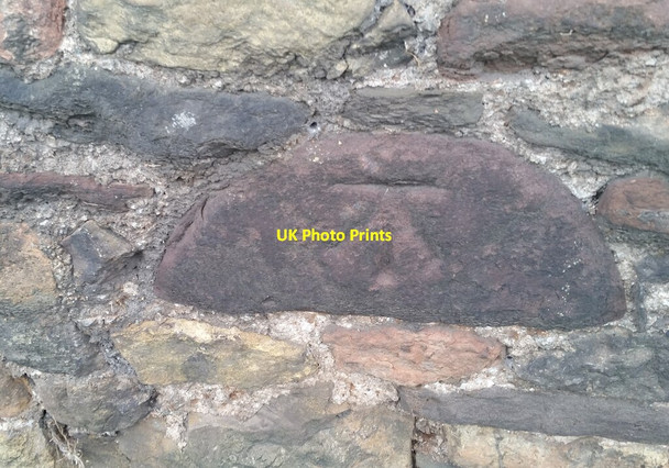 Photo 6"x4" Ordnance Survey Cut Mark Norton's Wood\/ST4372 c2021
