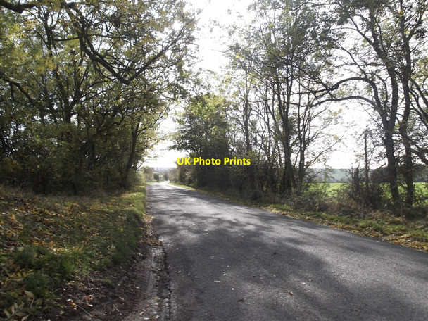 Photo 6"x4" Sunlight on Burton Road Rudston c2021