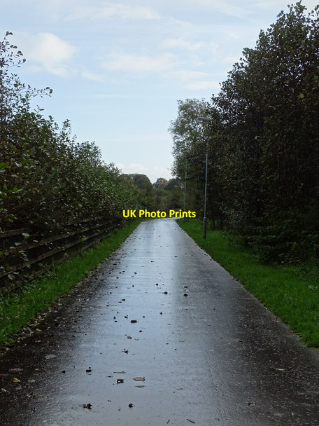 Photo 6"x4" Path along the River Foyle Londonderry\/C4316 c2021