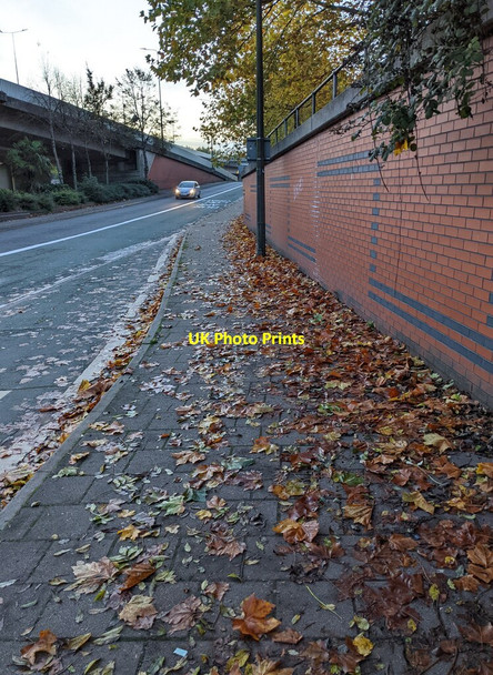 Photo 6"x4" Fallen leaves, Crindau, Newport Newport\/Casnewydd c2021